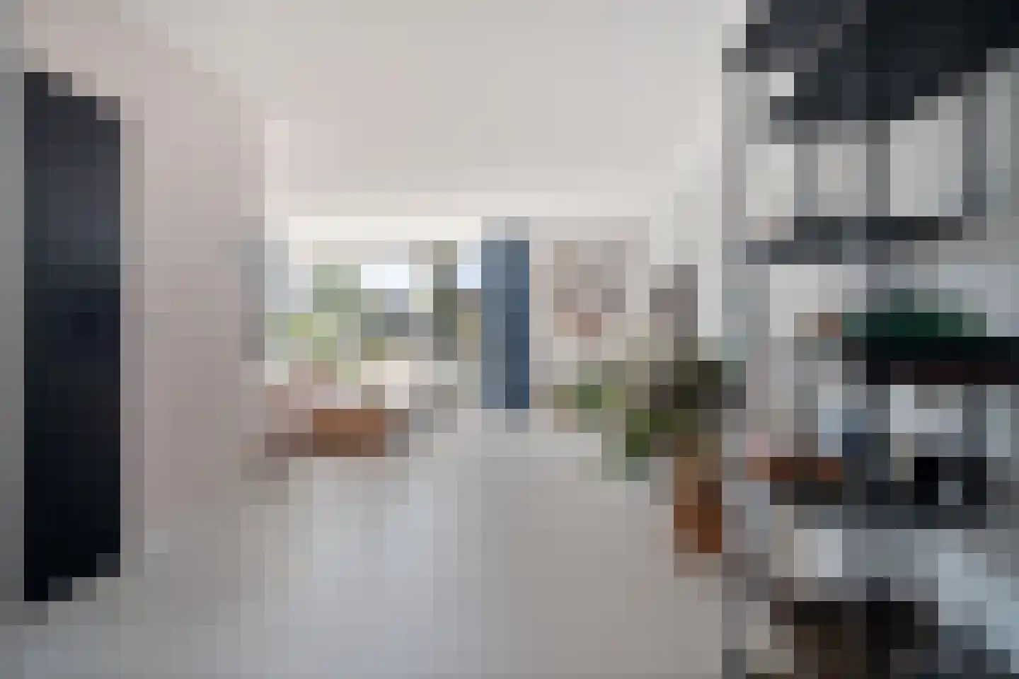 Alpenkraai 1 Emmen thumbnail 13