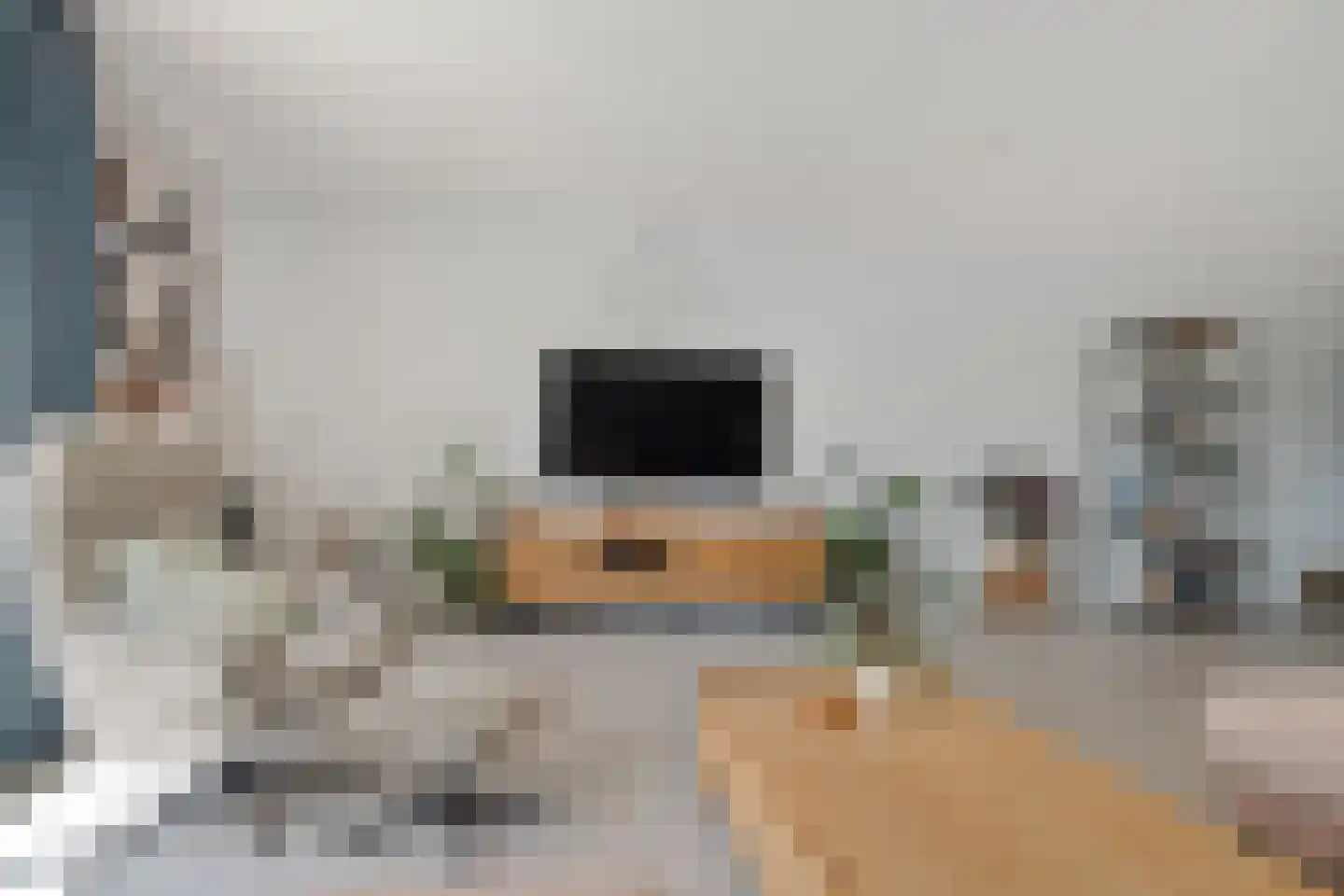 Alpenkraai 1 Emmen thumbnail 16