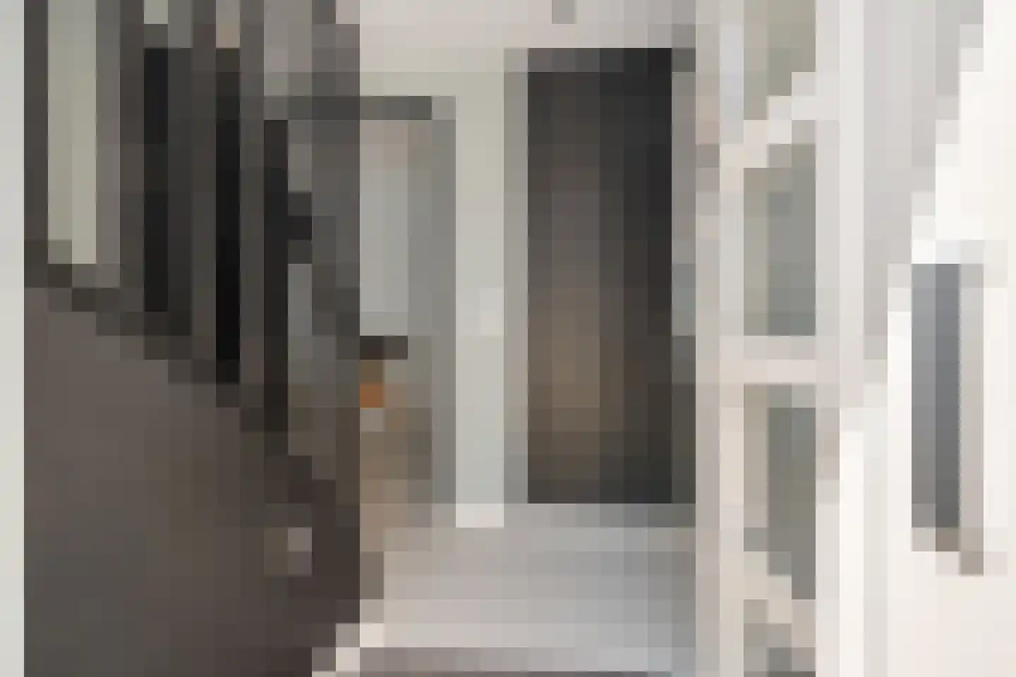 Alpenkraai 1 Emmen thumbnail 21