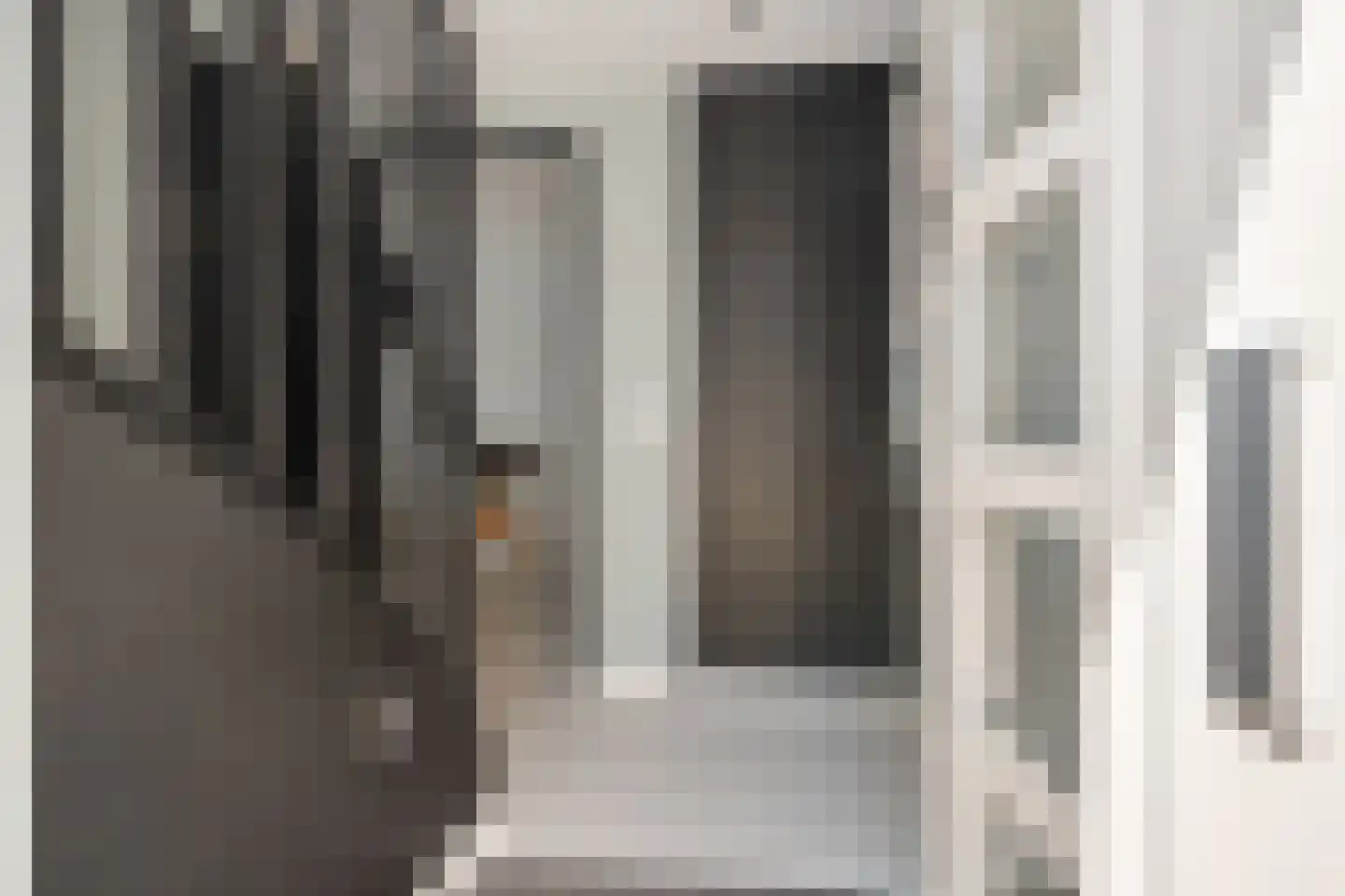 Alpenkraai 1 Emmen thumbnail 21