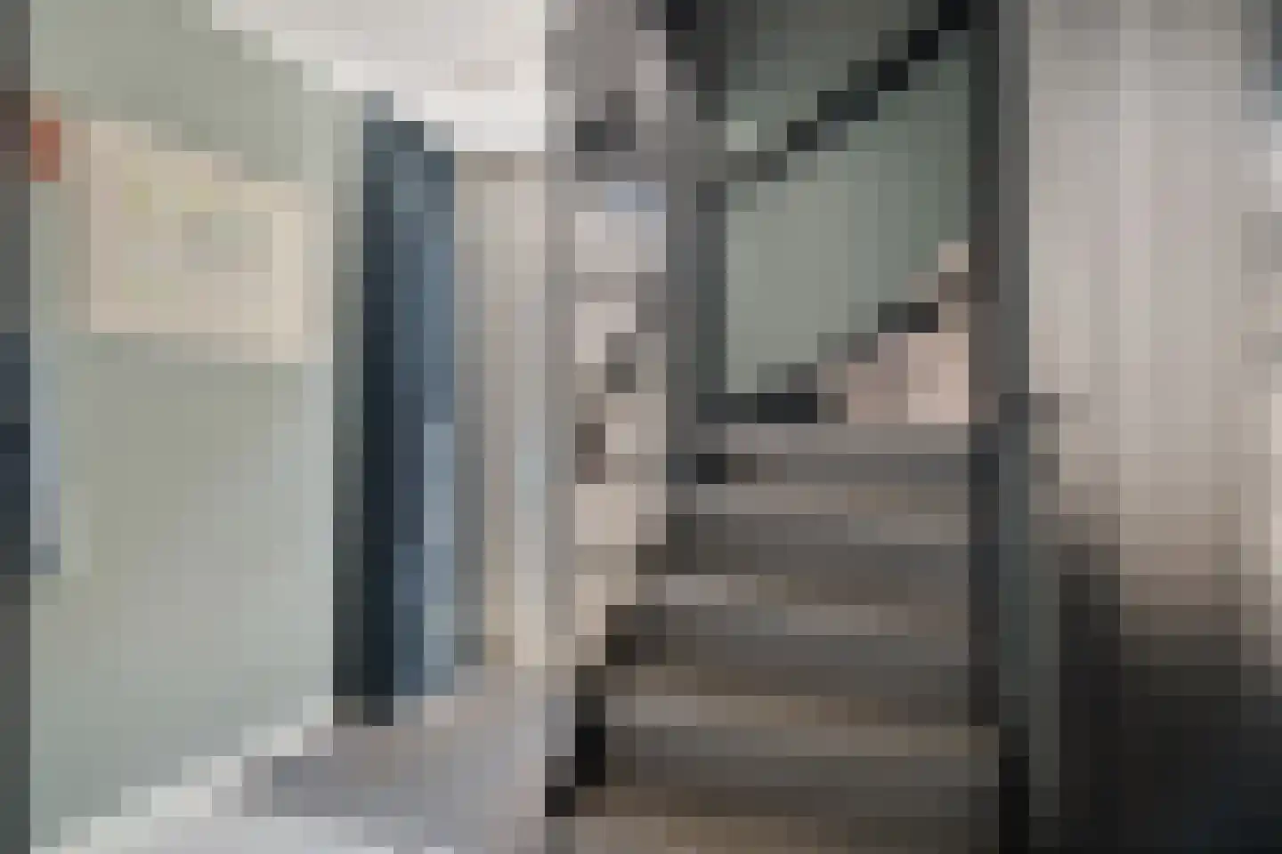 Alpenkraai 1 Emmen thumbnail 23