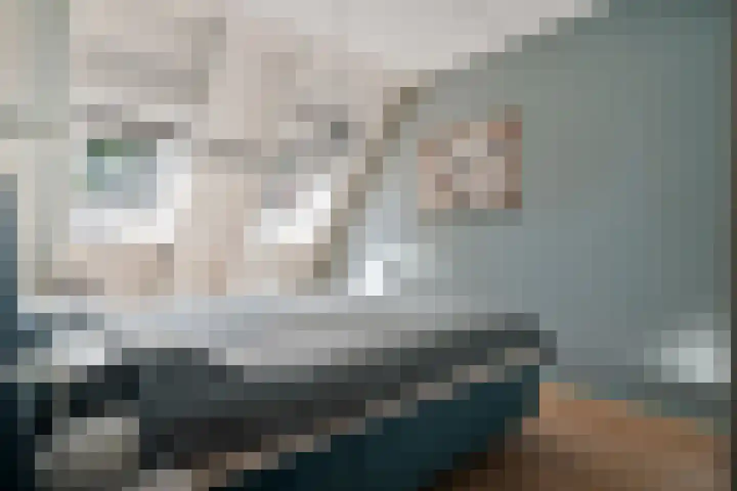 Alpenkraai 1 Emmen thumbnail 24