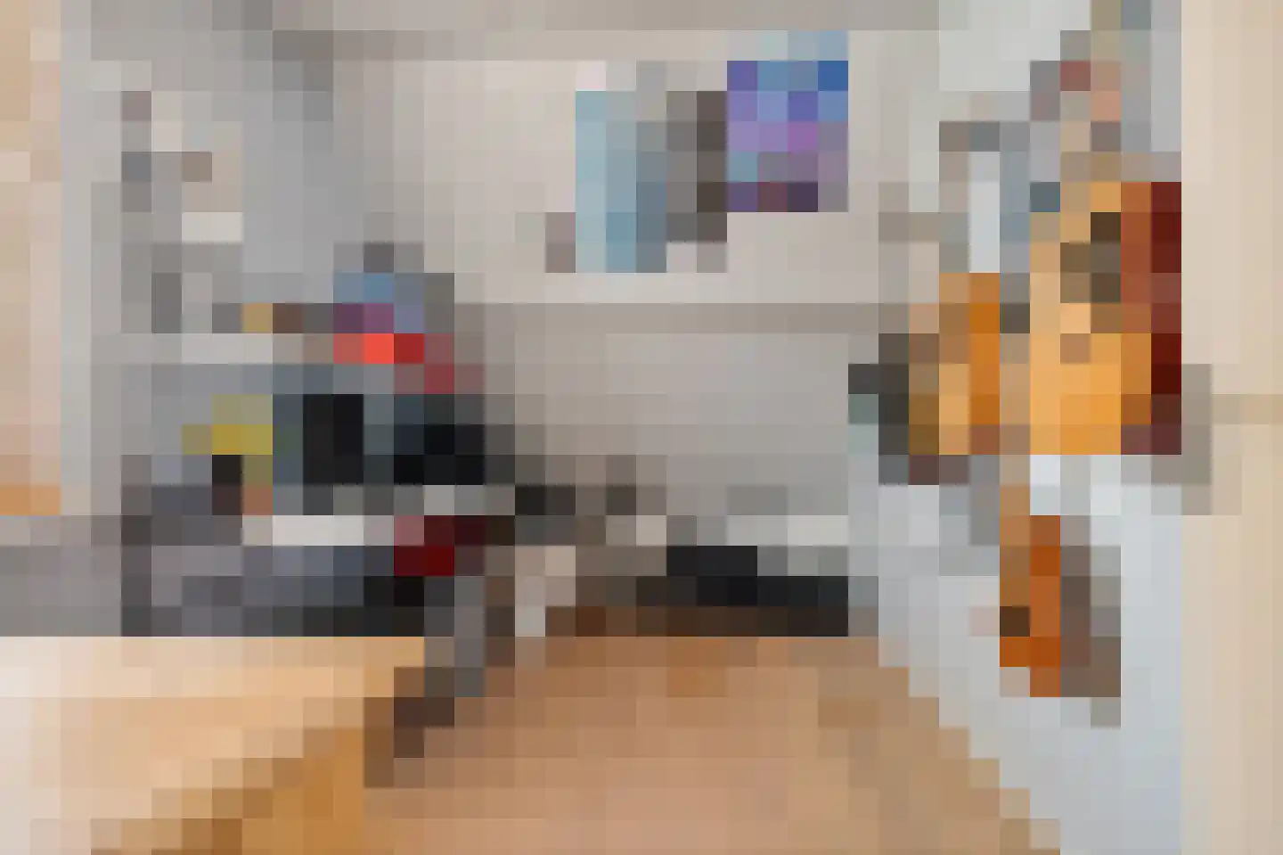 Alpenkraai 1 Emmen thumbnail 28