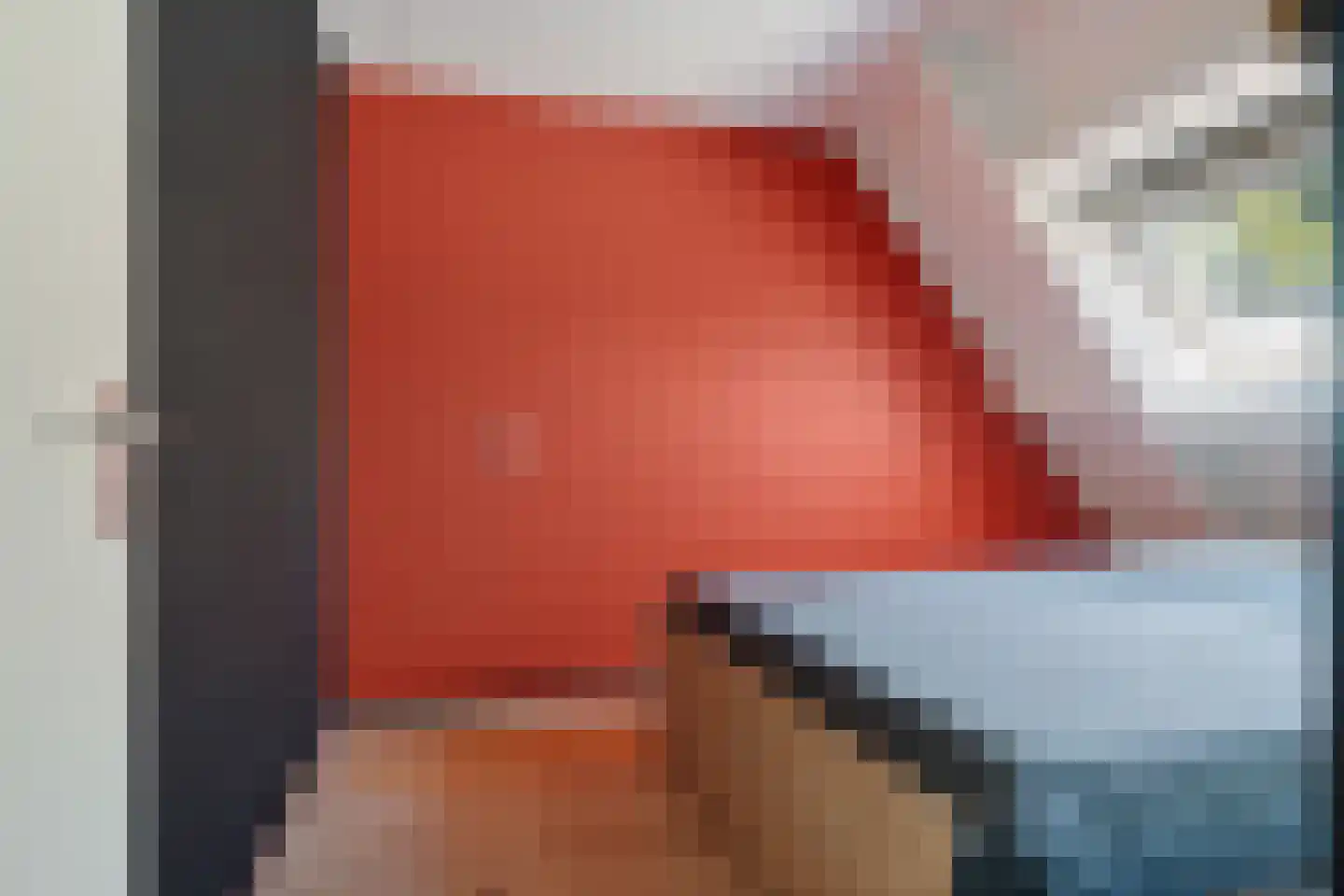 Alpenkraai 1 Emmen thumbnail 29