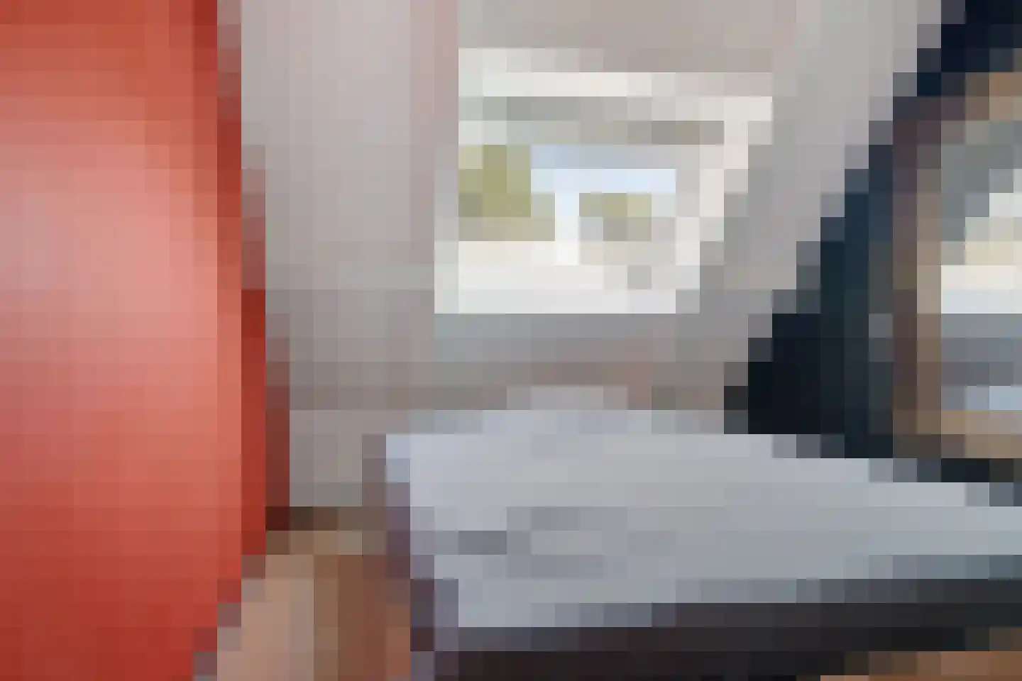 Alpenkraai 1 Emmen thumbnail 30