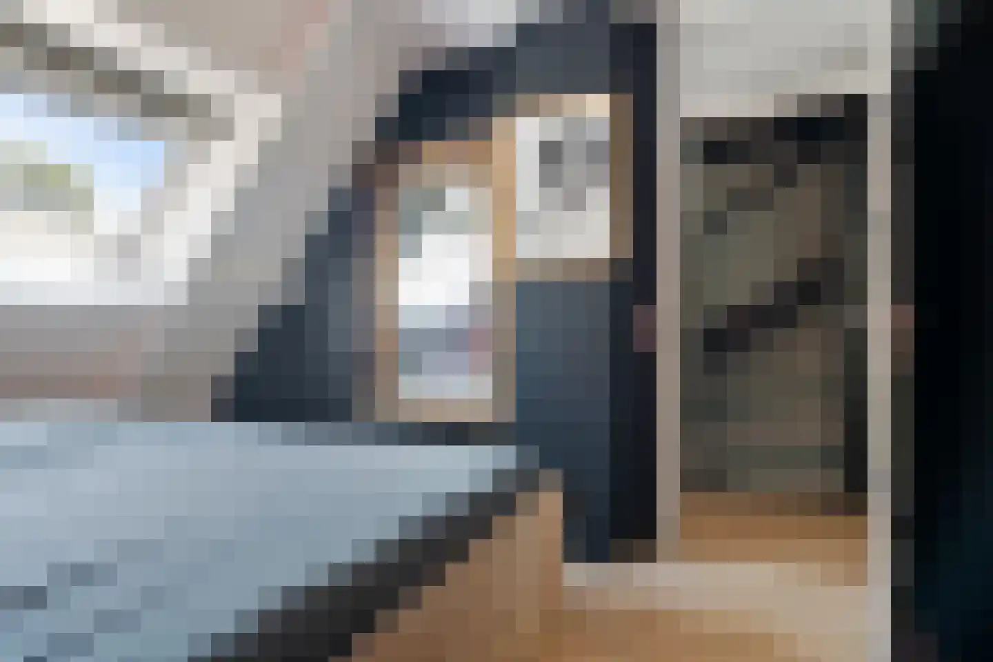 Alpenkraai 1 Emmen thumbnail 31