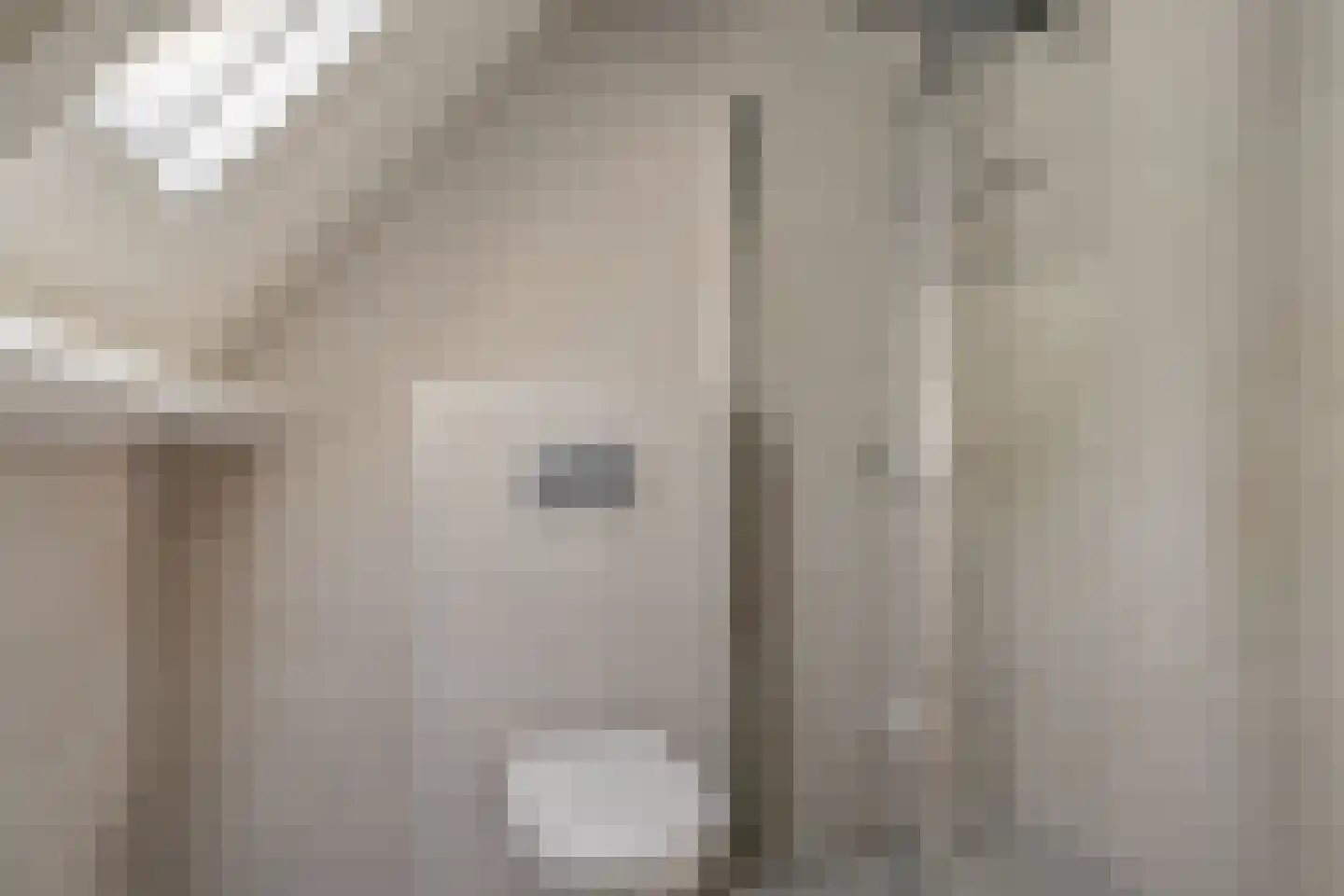 Alpenkraai 1 Emmen thumbnail 32