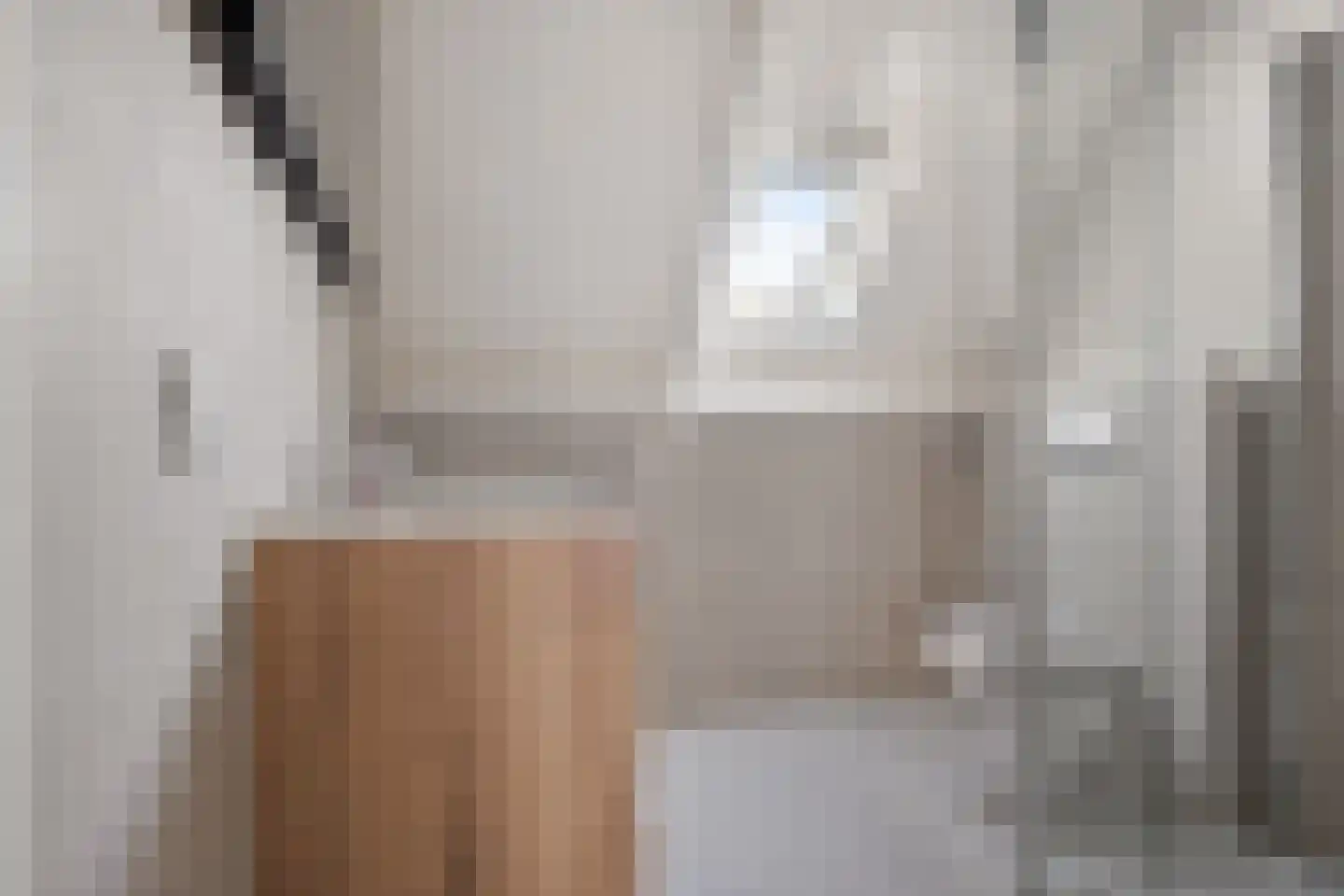 Alpenkraai 1 Emmen thumbnail 35
