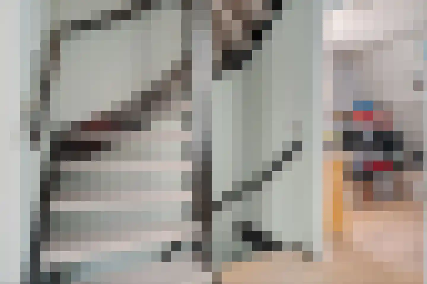 Alpenkraai 1 Emmen thumbnail 36
