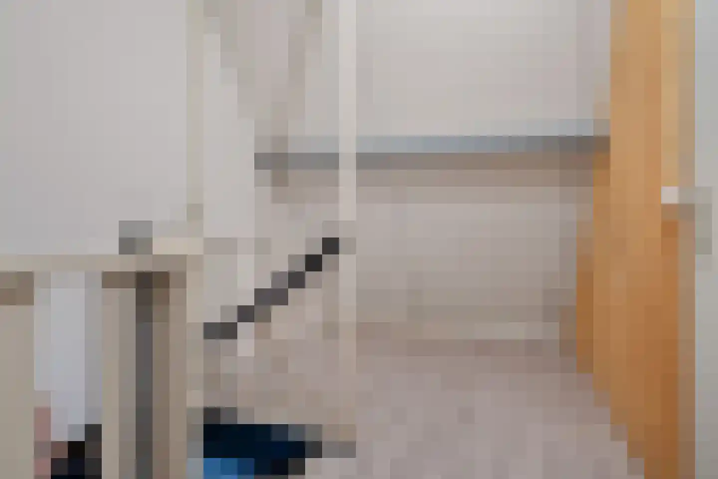 Alpenkraai 1 Emmen thumbnail 37