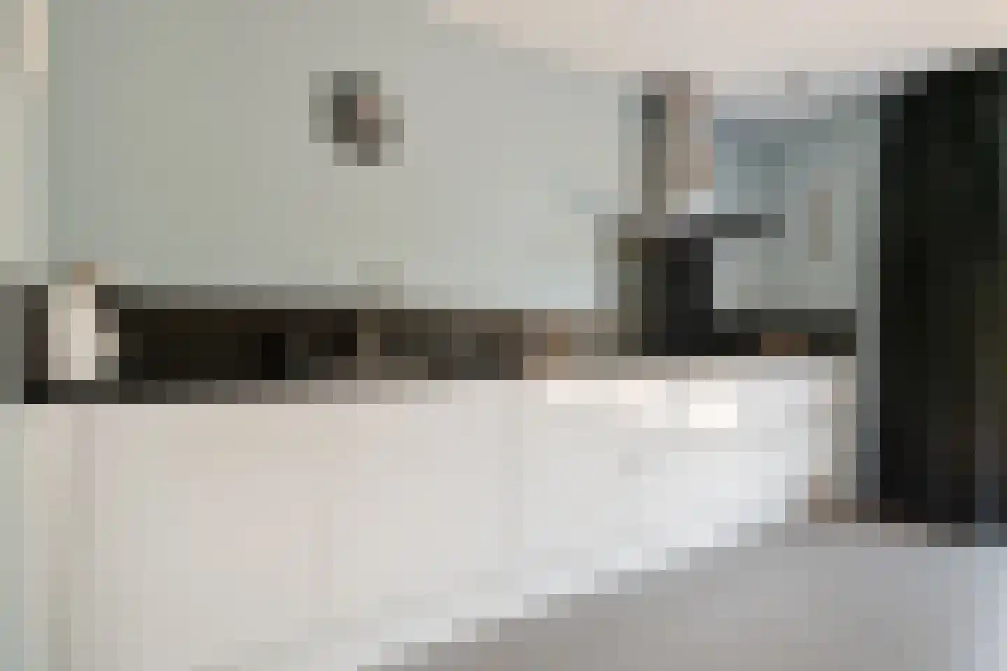 Alpenkraai 1 Emmen thumbnail 4