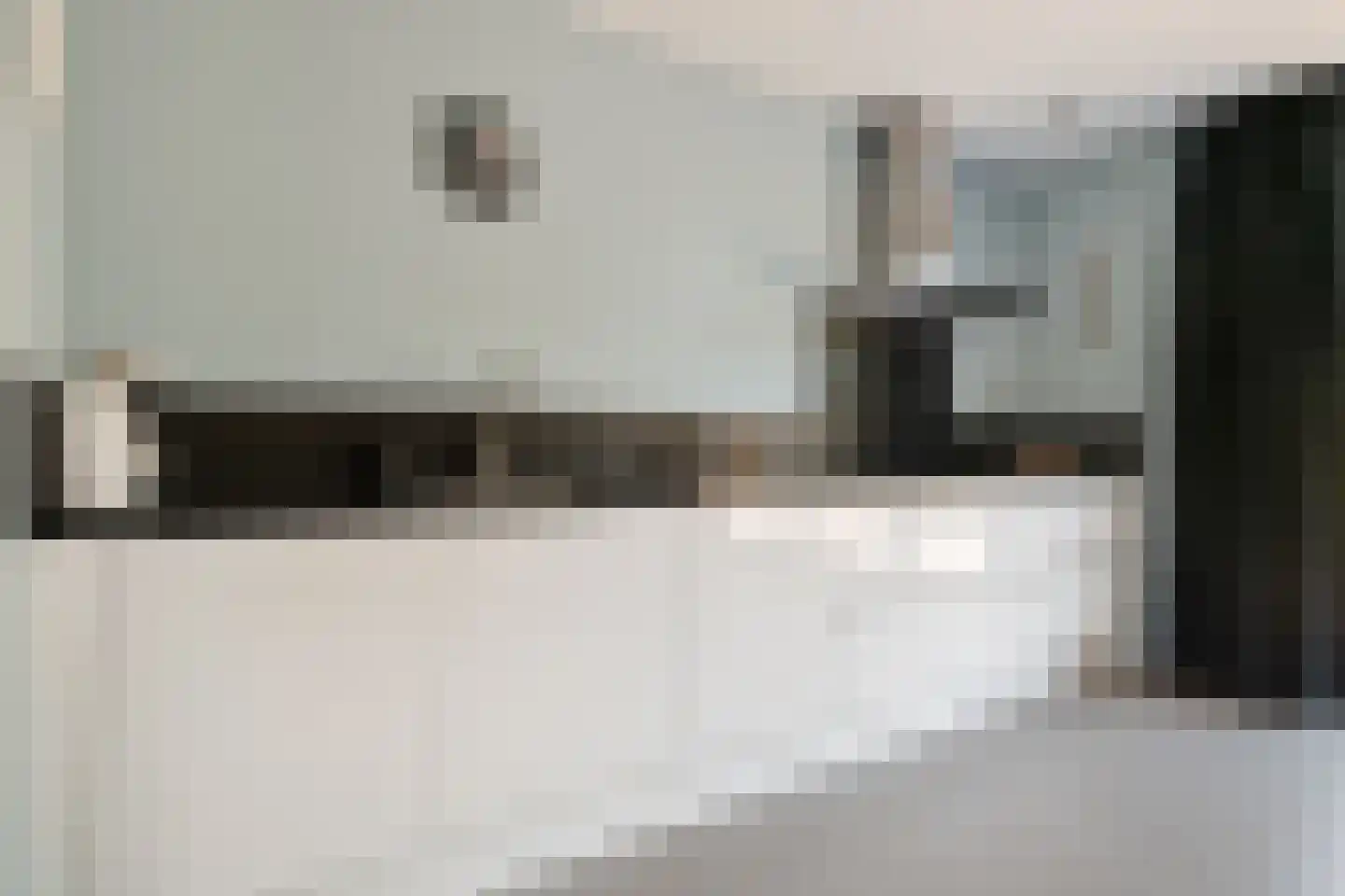 Alpenkraai 1 Emmen thumbnail 4