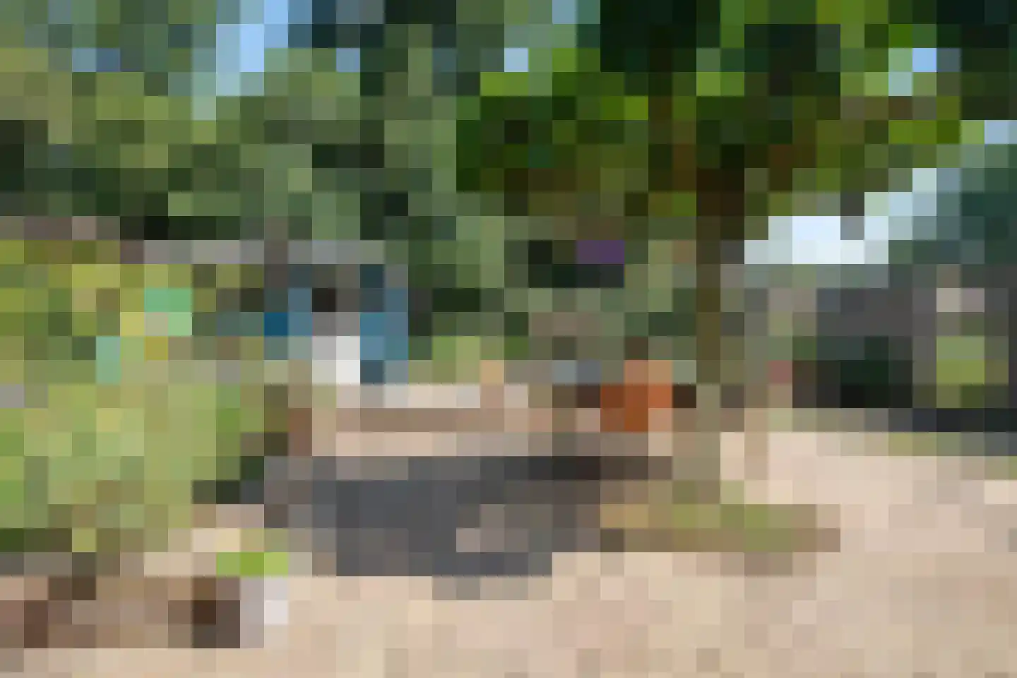 Alpenkraai 1 Emmen thumbnail 41