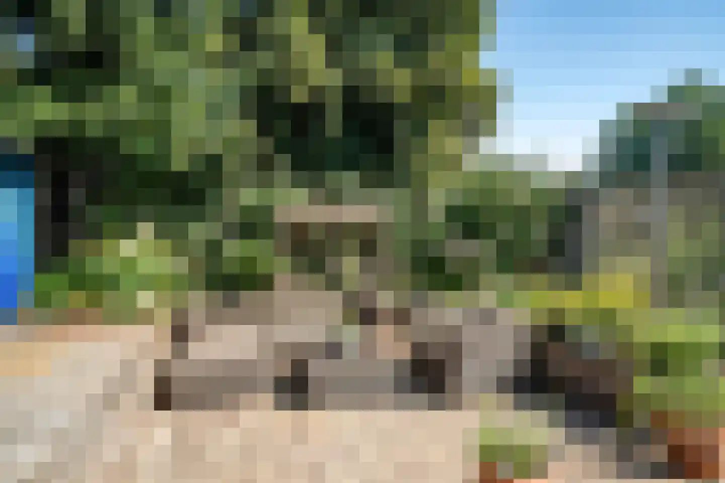 Alpenkraai 1 Emmen thumbnail 42
