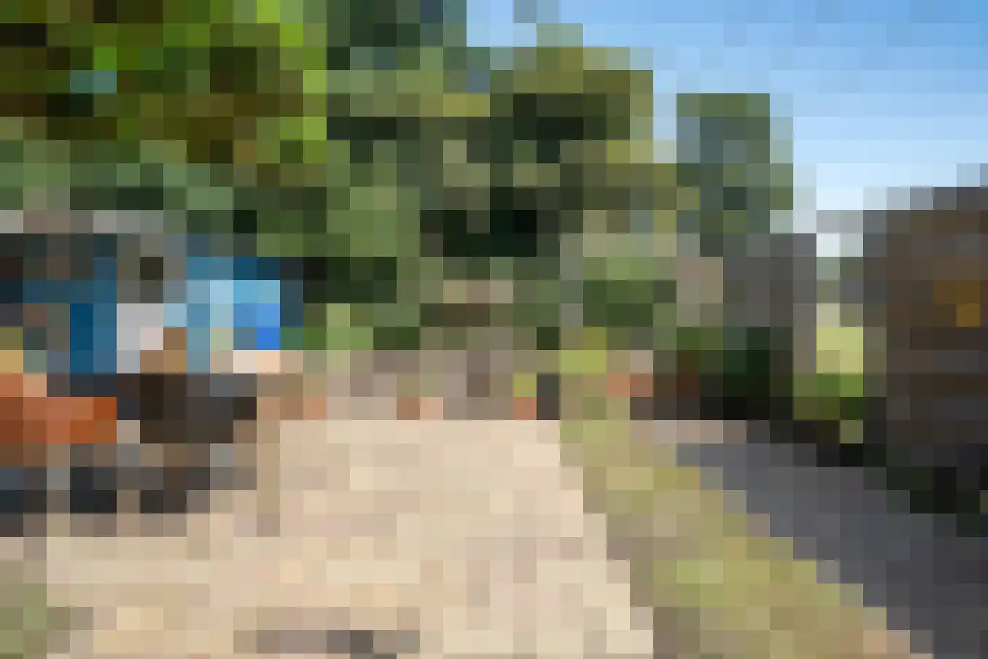 Alpenkraai 1 Emmen thumbnail 44