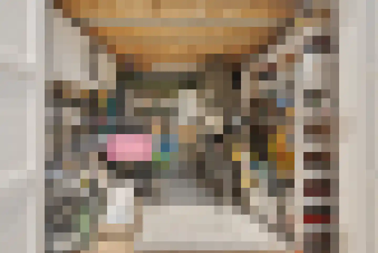 Alpenkraai 1 Emmen thumbnail 48