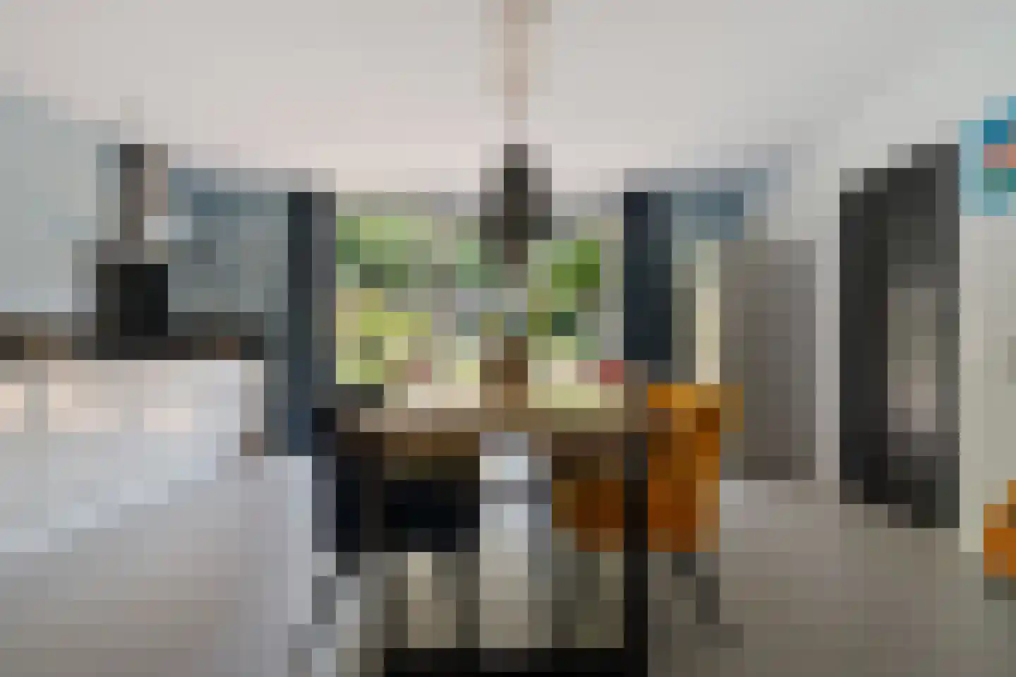 Alpenkraai 1 Emmen thumbnail 8