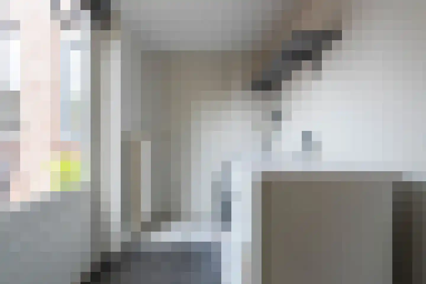 Alpenkraai 24 Emmen thumbnail 12