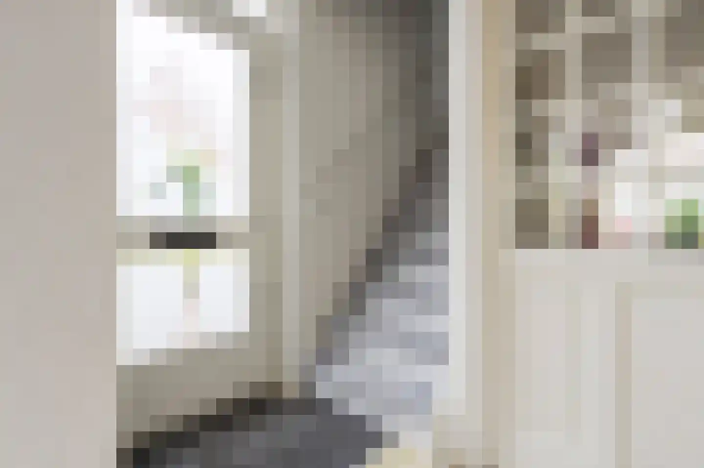 Alpenkraai 24 Emmen thumbnail 15