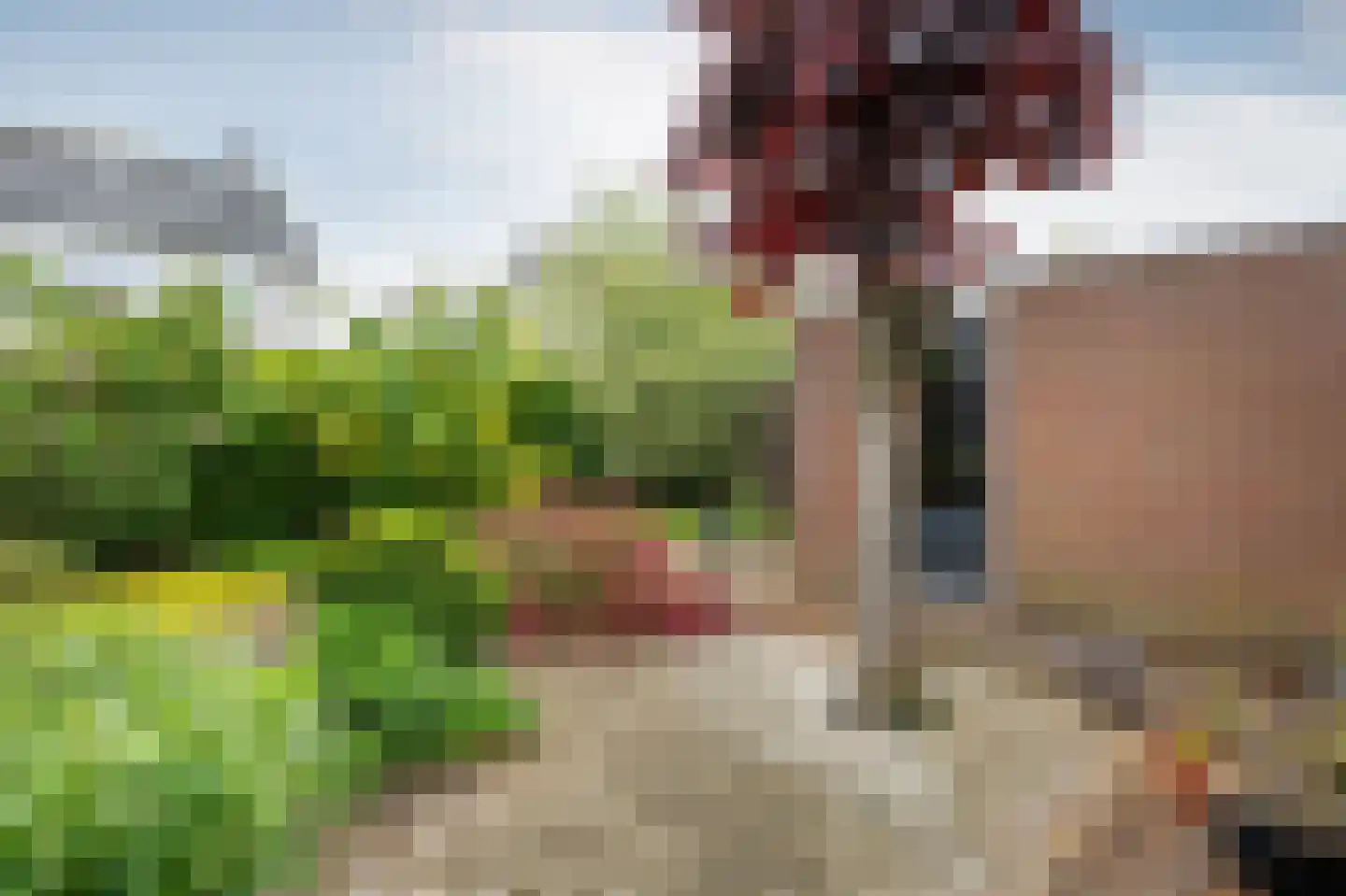 Alpenkraai 24 Emmen thumbnail 26