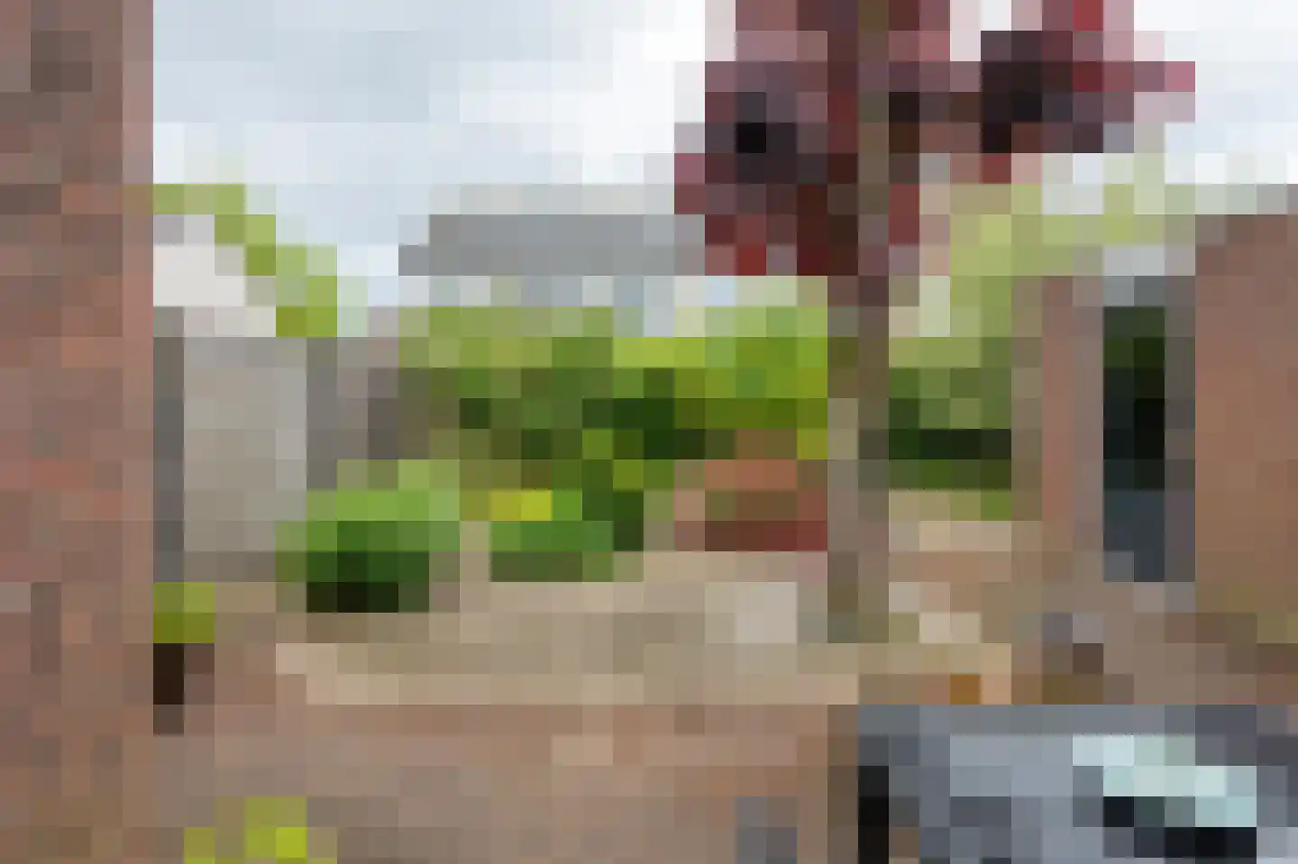 Alpenkraai 24 Emmen thumbnail 27