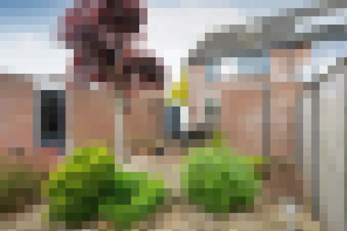 Alpenkraai 24 Emmen thumbnail 28