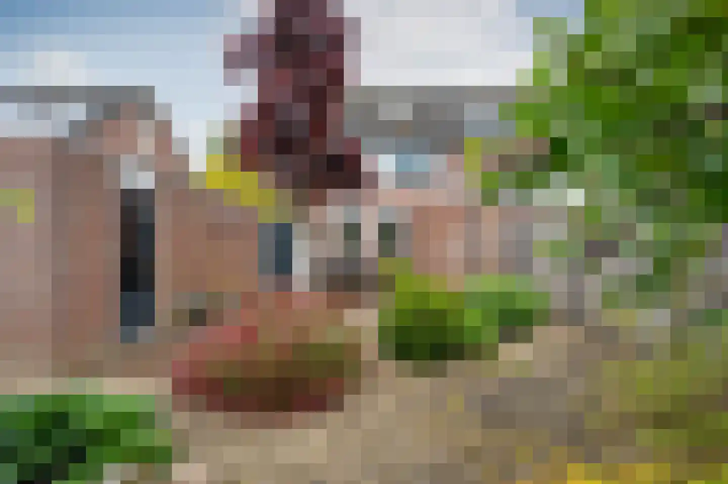Alpenkraai 24 Emmen thumbnail 29