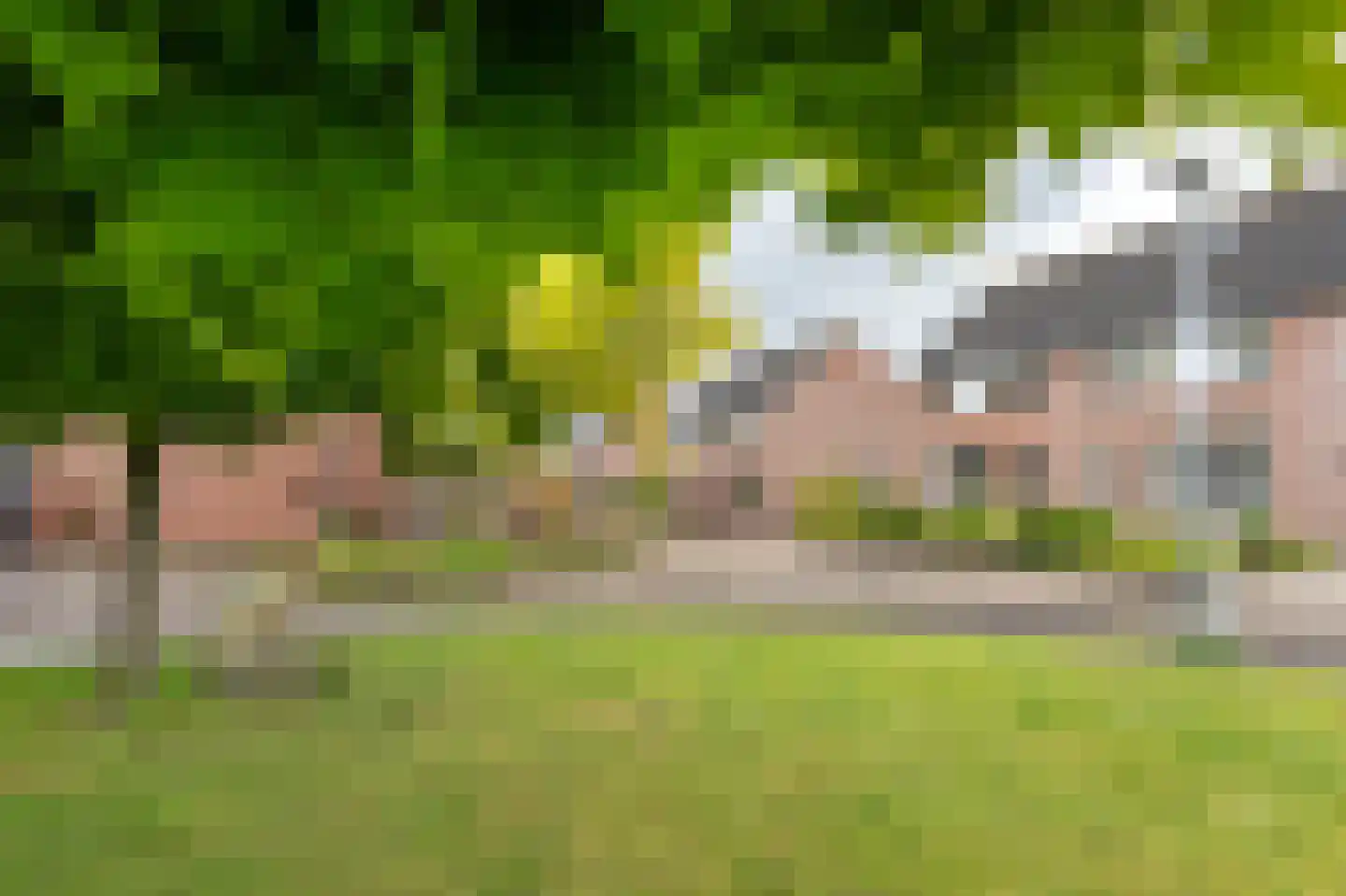 Alpenkraai 24 Emmen thumbnail 33