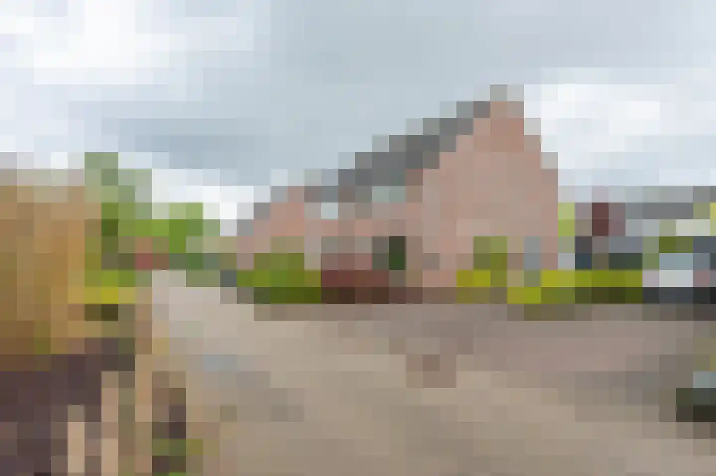 Alpenkraai 24 Emmen thumbnail 34