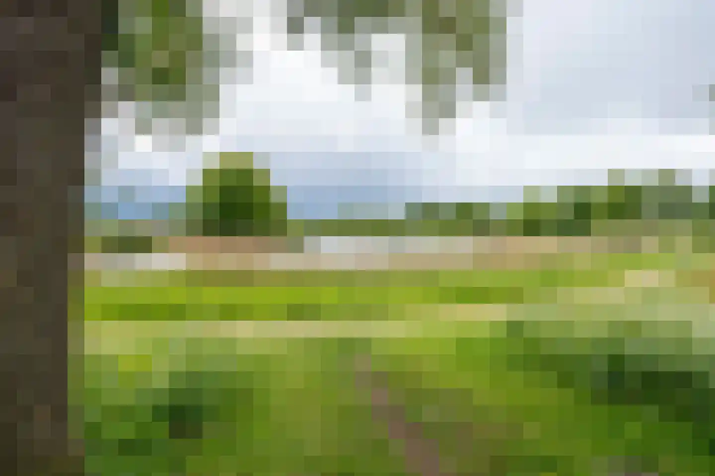 Alpenkraai 24 Emmen thumbnail 35