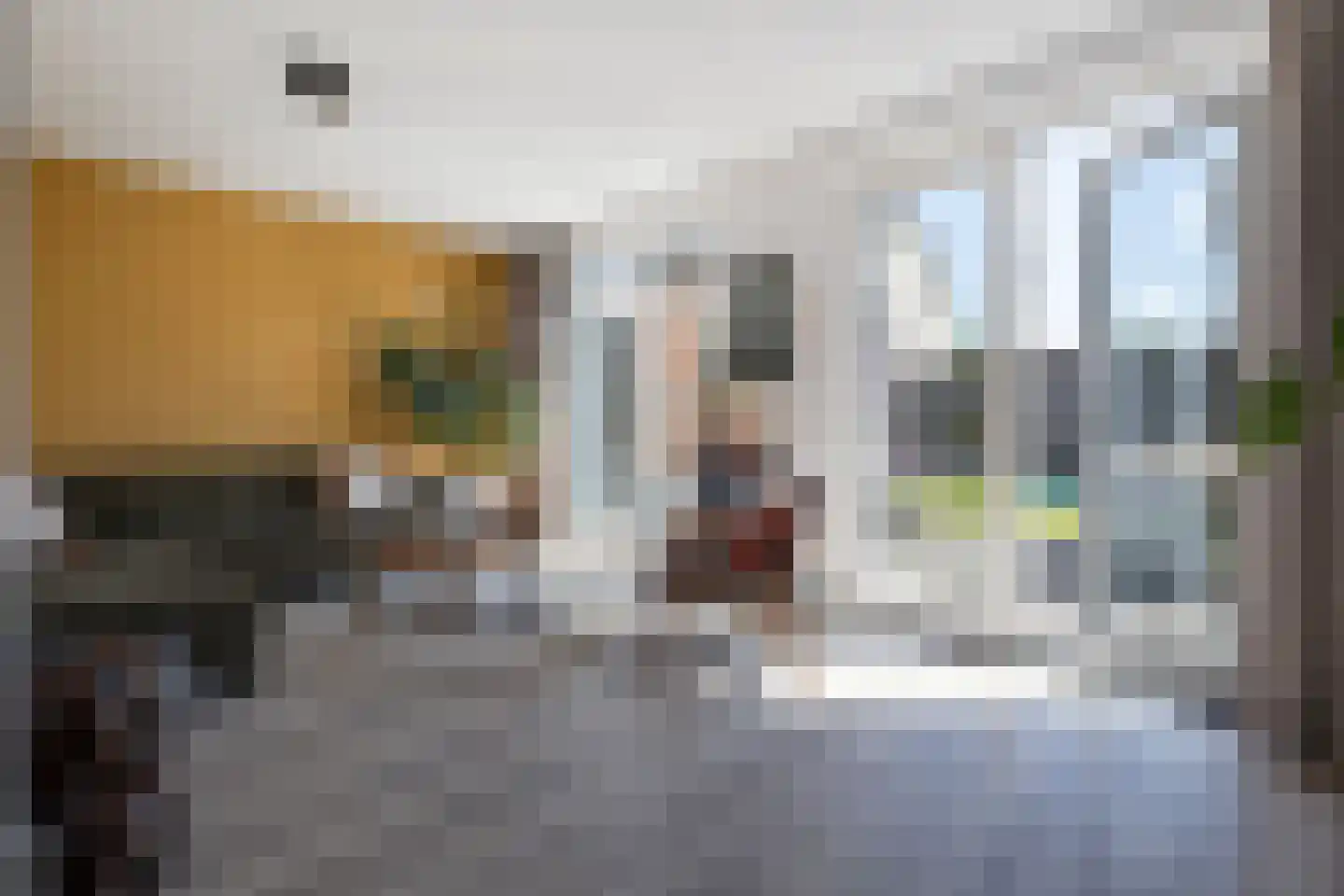 Alpenkraai 27 Emmen thumbnail 19