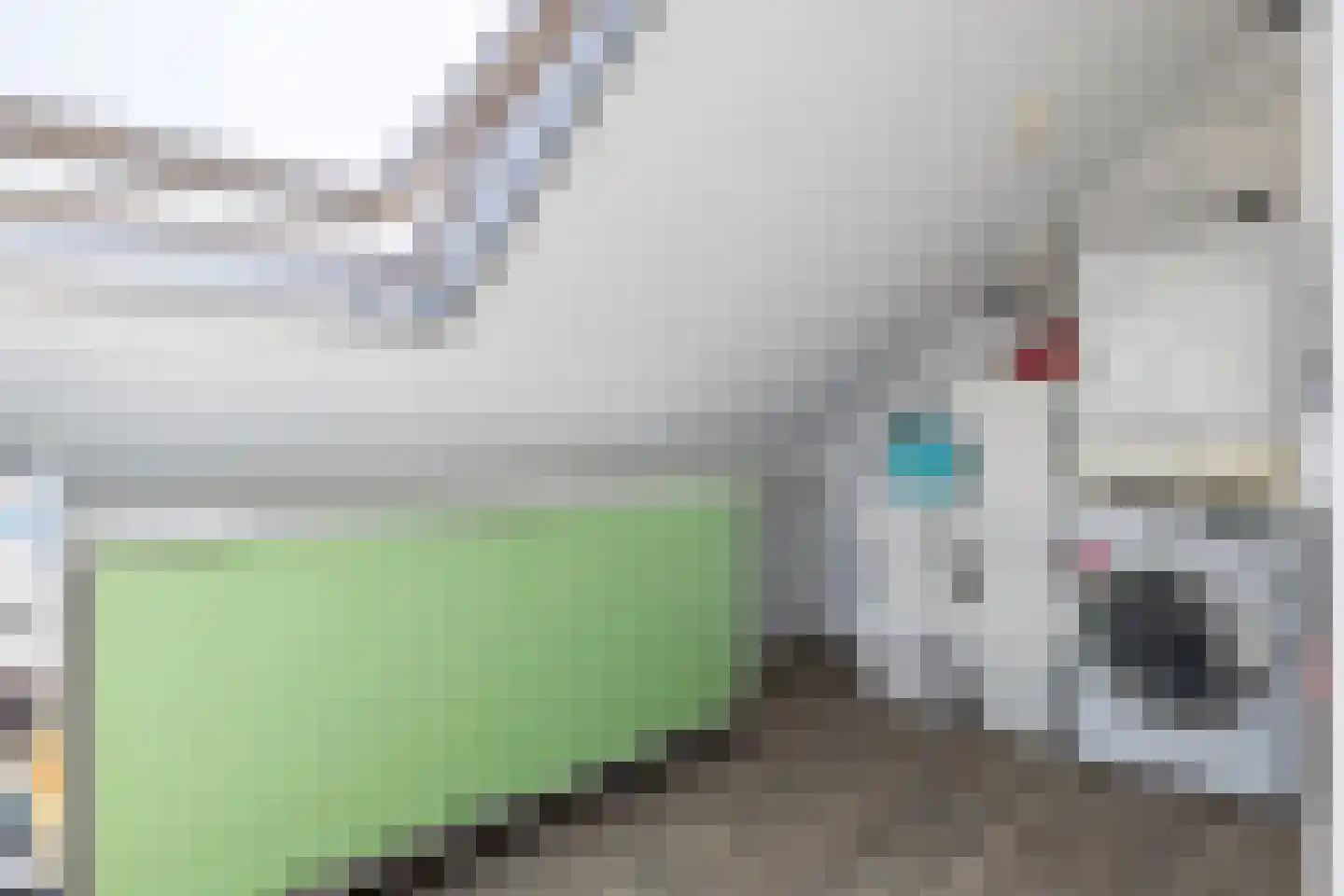 Alpenkraai 27 Emmen thumbnail 44