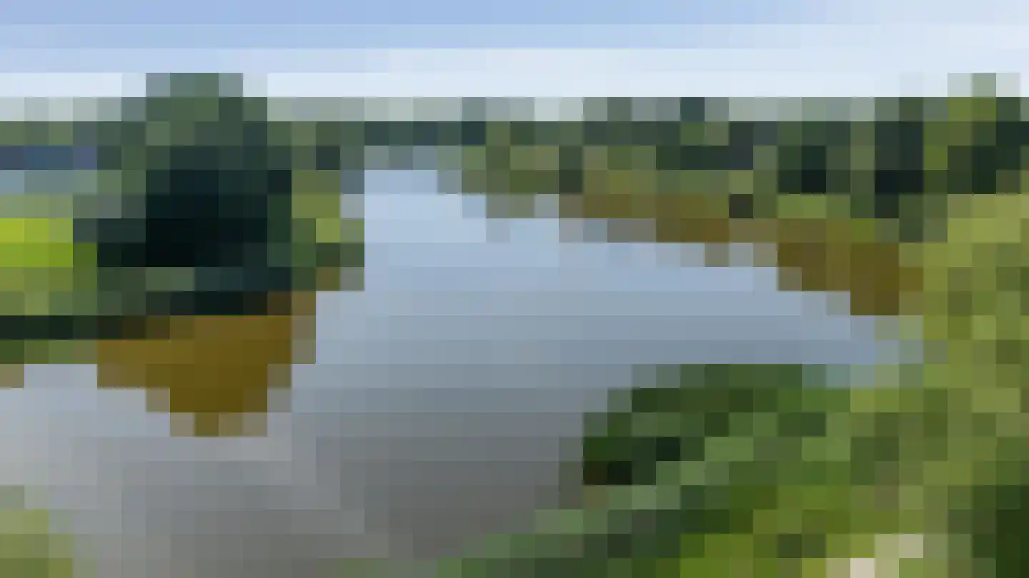 Alpenkraai 27 Emmen thumbnail 47
