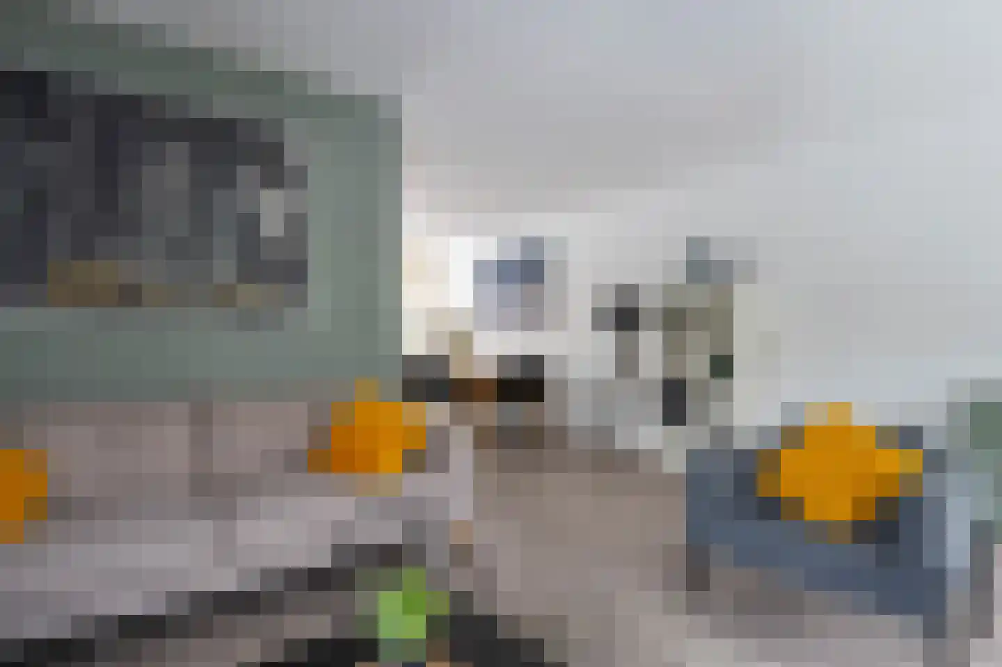 Alpenkraai 51 Emmen thumbnail 8
