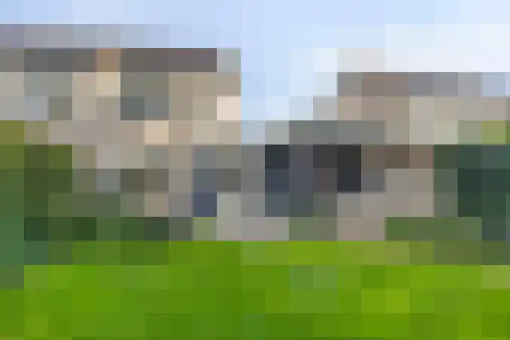 Alpenkraai 57 Emmen thumbnail 27