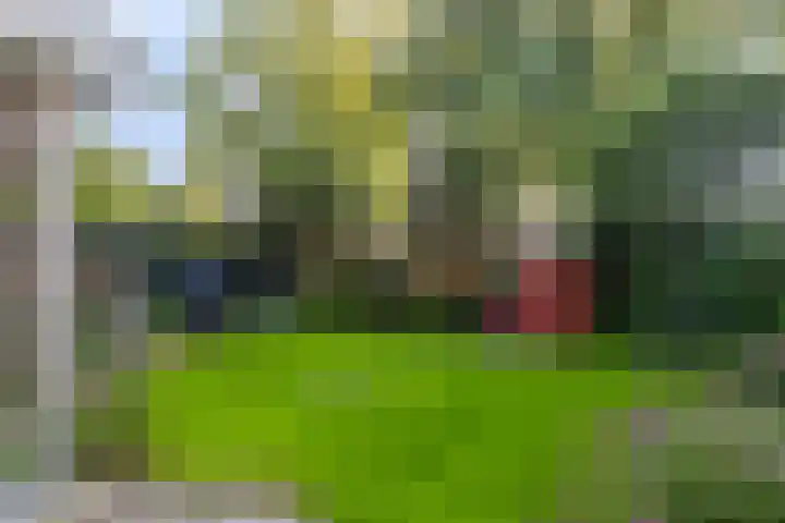 Alpenkraai 57 Emmen thumbnail 28