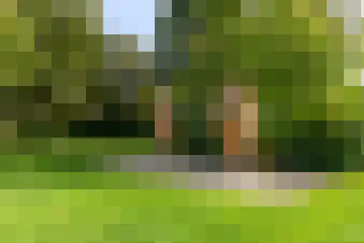 Alpenkraai 57 Emmen thumbnail 34