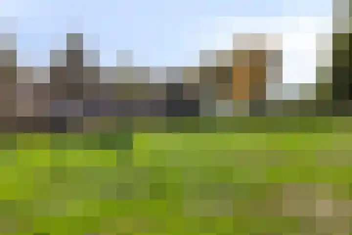 Alpenkraai 57 Emmen thumbnail 35