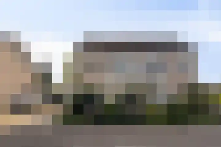 Alpenkraai 57 Emmen thumbnail 5