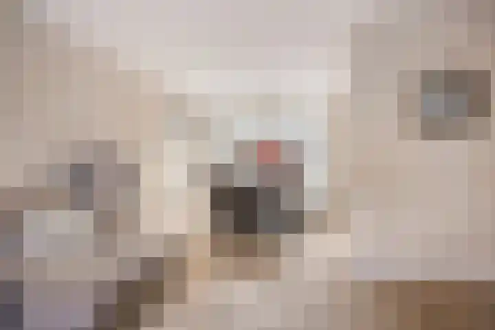 Alpenlaan 139 Tilburg thumbnail 10