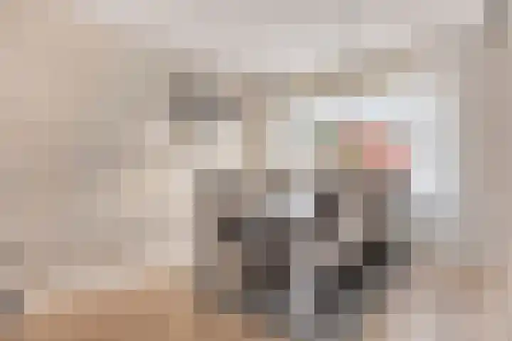 Alpenlaan 139 Tilburg thumbnail 12