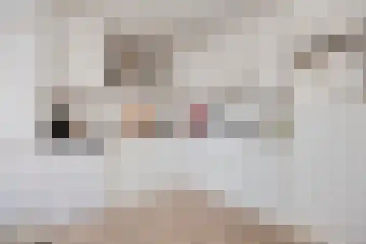 Alpenlaan 139 Tilburg thumbnail 14