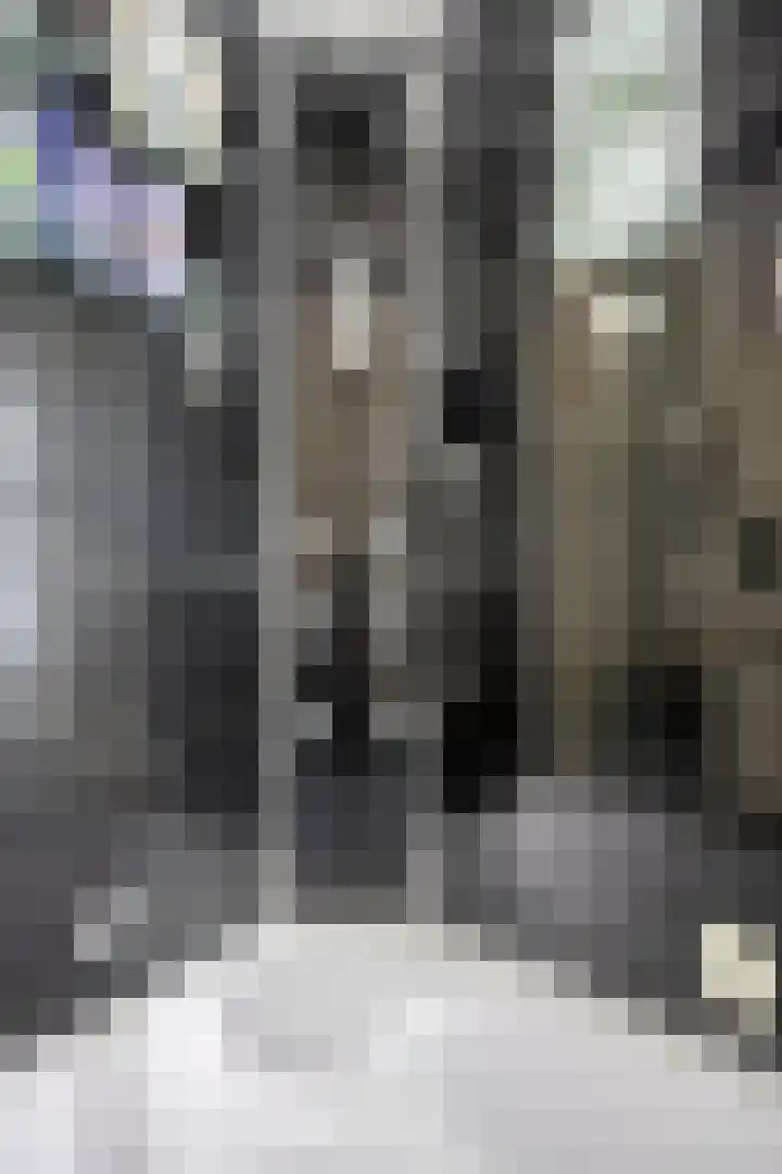 Alpenlaan 139 Tilburg thumbnail 22