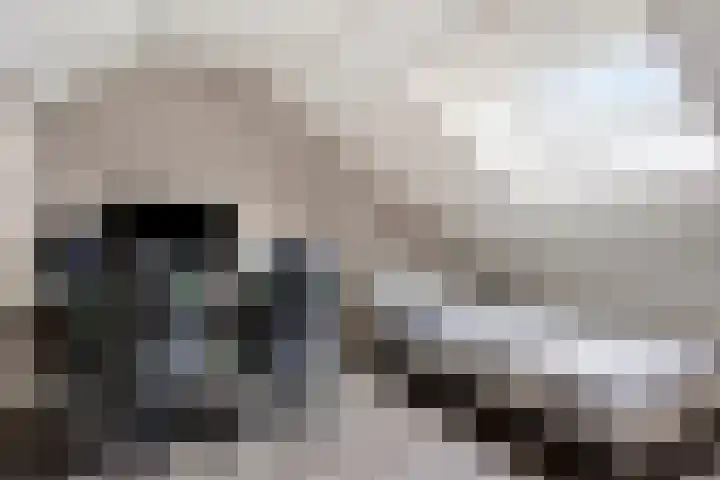 Alpenlaan 139 Tilburg thumbnail 28