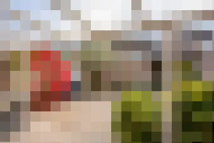 Alpenlaan 139 Tilburg thumbnail 32