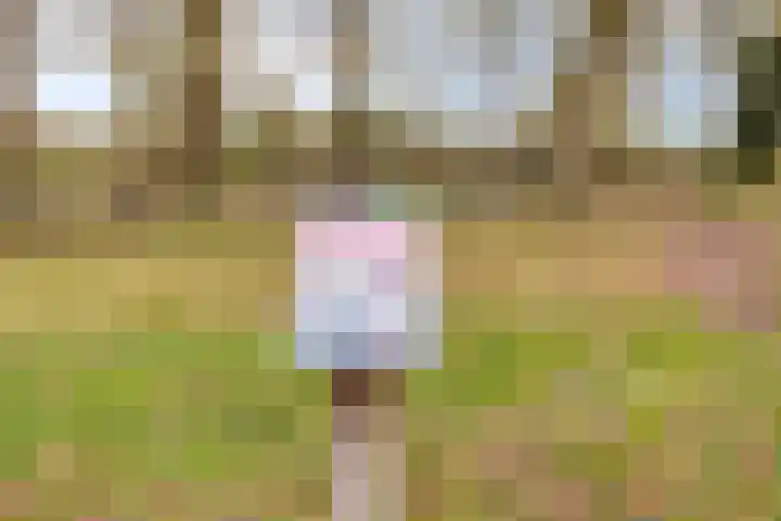 Alpenlaan 139 Tilburg thumbnail 39