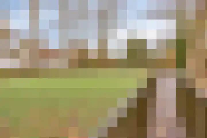 Alpenlaan 139 Tilburg thumbnail 40