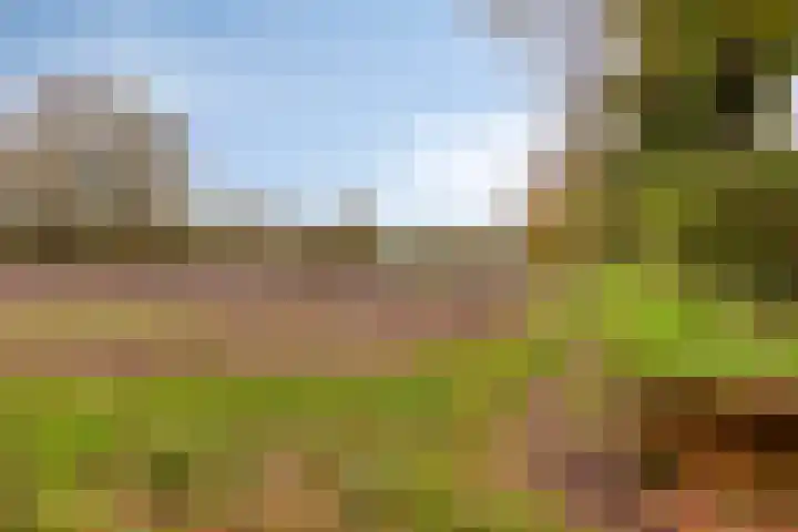 Alpenlaan 139 Tilburg thumbnail 41