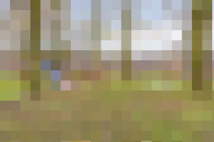 Alpenlaan 139 Tilburg thumbnail 42