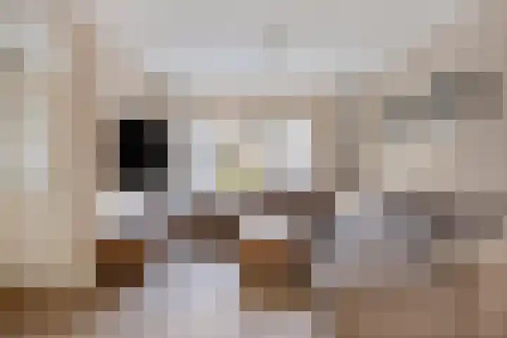 Alpenlaan 139 Tilburg thumbnail 8